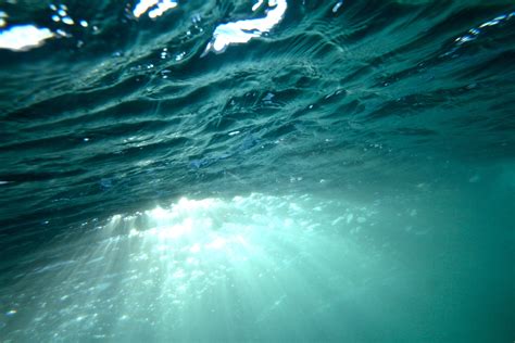  Ocean Sunlight A Tale Woven with Hope and Marine Wonders