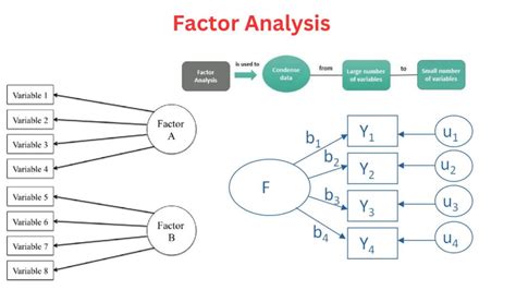  Exploratory Factor Analysis: A Journey Through Dimensions and Variables