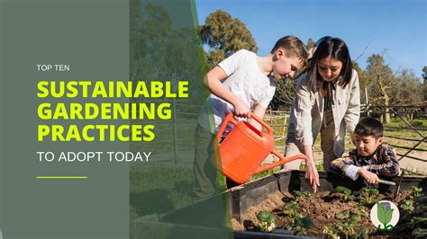  Plants for a Future: A Journey Into Sustainable Gardening Practices -  A Masterpiece of Ecological Awareness and Practical Wisdom