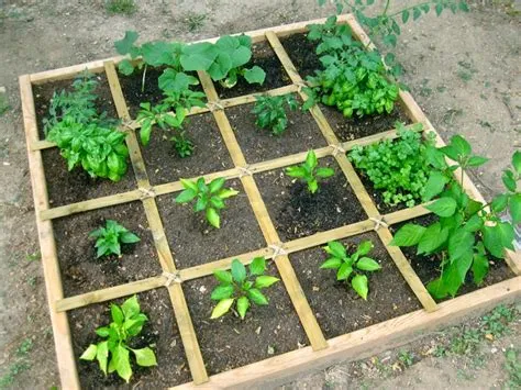  Square Foot Gardening: A New Way to Grow Vegetables -  A Delightful Exploration of Compact Cultivation and Abundant Harvests!